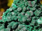 Natural Silky Malachite Specimens x 12 From Kasompe, Congo - Toprock Gemstones and Minerals 