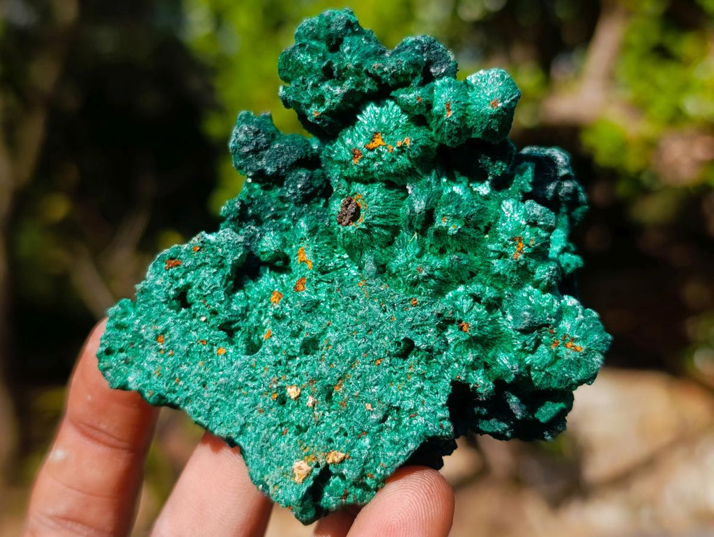 Natural Silky Malachite Specimens x 12 From Kasompe, Congo - Toprock Gemstones and Minerals 