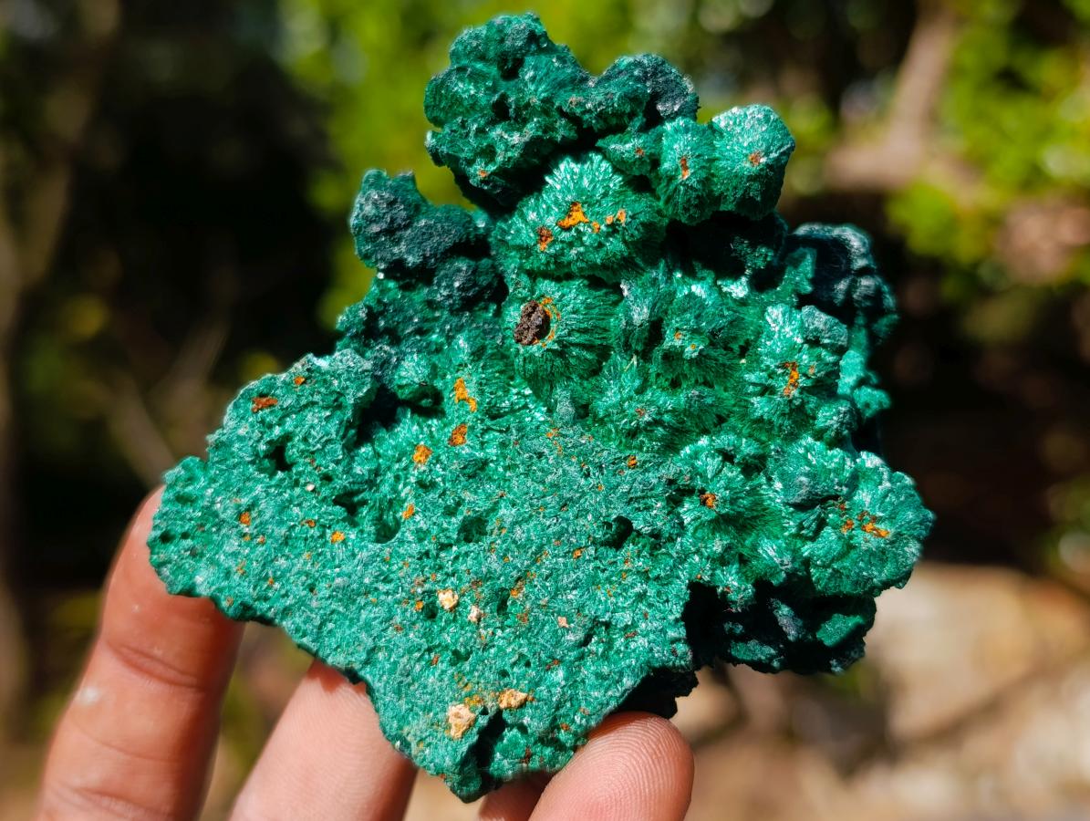 Natural Silky Malachite Specimens x 12 From Kasompe, Congo - Toprock Gemstones and Minerals 