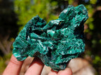 Natural Silky Malachite Specimens x 12 From Kasompe, Congo - Toprock Gemstones and Minerals 