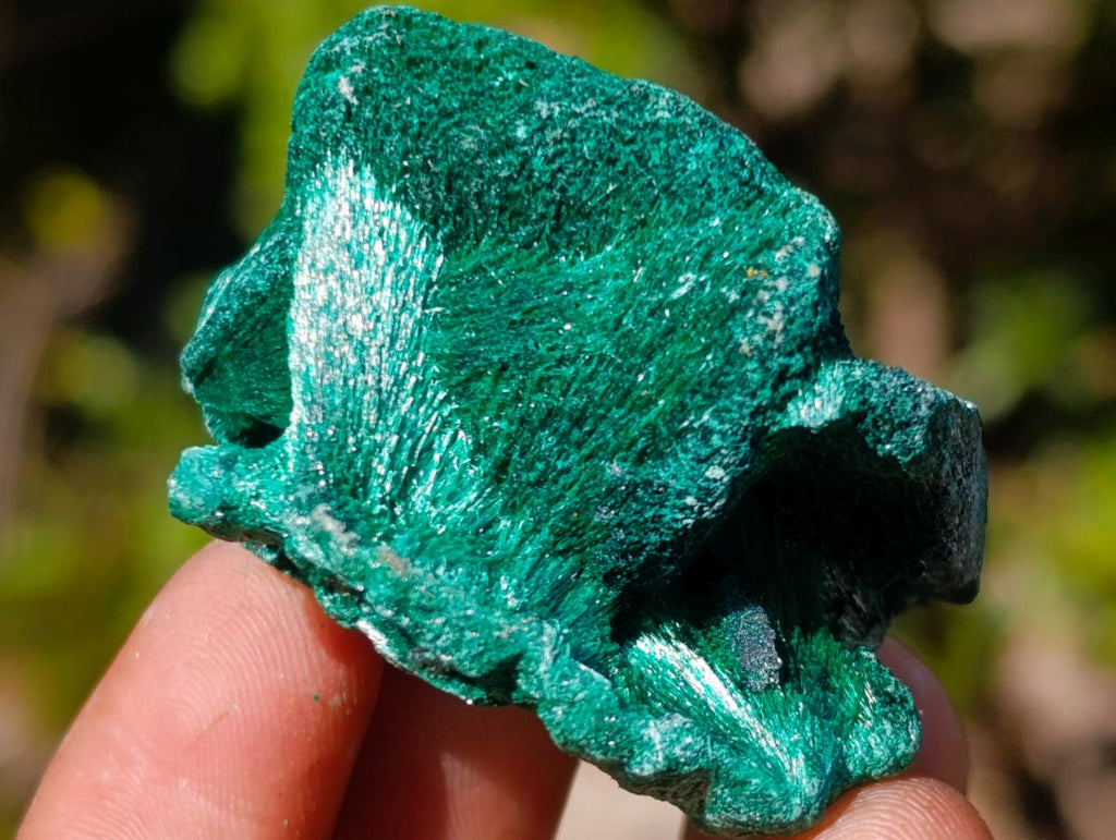 Natural Silky Malachite Specimens x 12 From Kasompe, Congo - Toprock Gemstones and Minerals 