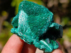Natural Silky Malachite Specimens x 12 From Kasompe, Congo - Toprock Gemstones and Minerals 