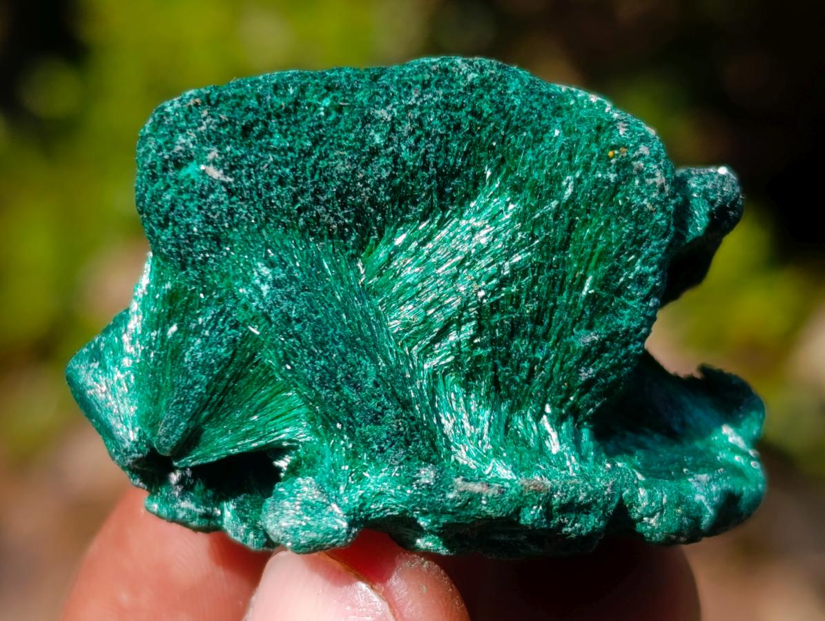 Natural Silky Malachite Specimens x 12 From Kasompe, Congo - Toprock Gemstones and Minerals 