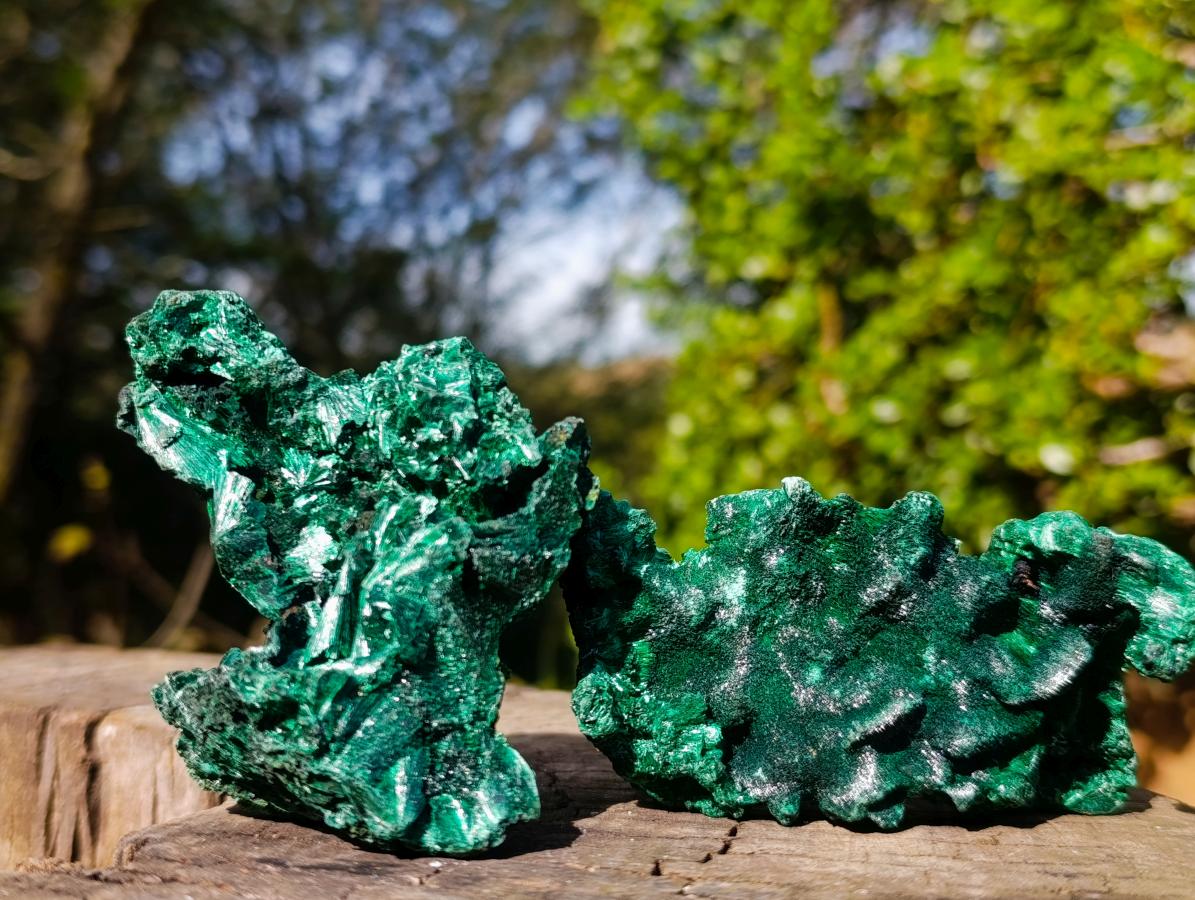 Natural Silky Malachite Specimens x 12 From Kasompe, Congo - Toprock Gemstones and Minerals 