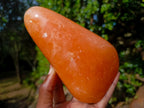 Polished Orange Twist Calcite Standing Display Pieces x 2 From Maevantanana, Madagascar - Toprock Gemstones and Minerals 