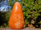 Polished Orange Twist Calcite Standing Display Pieces x 2 From Maevantanana, Madagascar - Toprock Gemstones and Minerals 