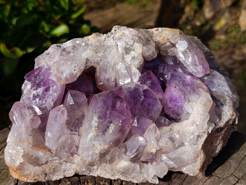 Natural Jacaranda Amethyst Geode x 1 From Mumbwa, Zambia - Toprock Gemstones and Minerals 