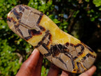 Polished Septerye Slices x 6 From Mahajanga, Madagascar - Toprock Gemstones and Minerals 