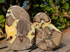 Polished Septerye Slices x 6 From Mahajanga, Madagascar - Toprock Gemstones and Minerals 