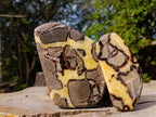 Polished Septerye Slices x 6 From Mahajanga, Madagascar - Toprock Gemstones and Minerals 