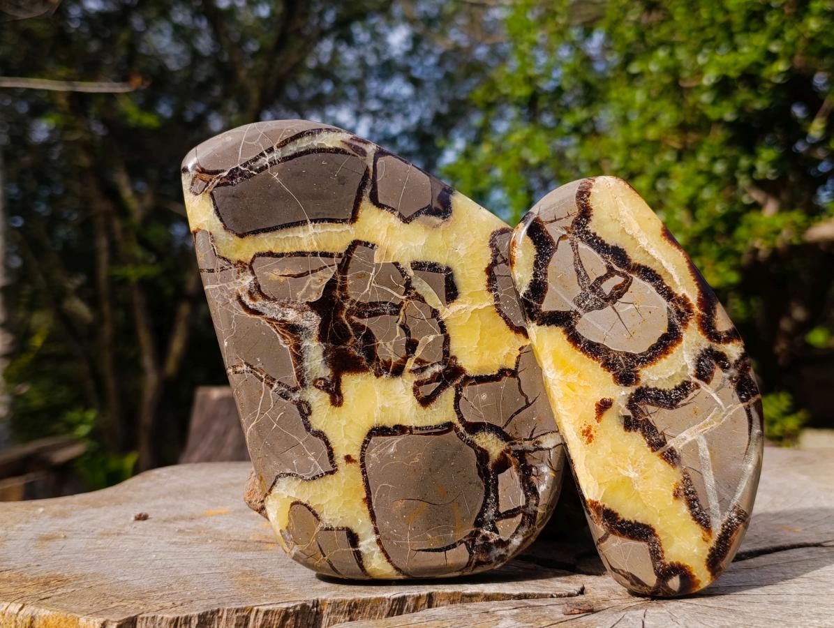 Polished Septerye Slices x 6 From Mahajanga, Madagascar - Toprock Gemstones and Minerals 