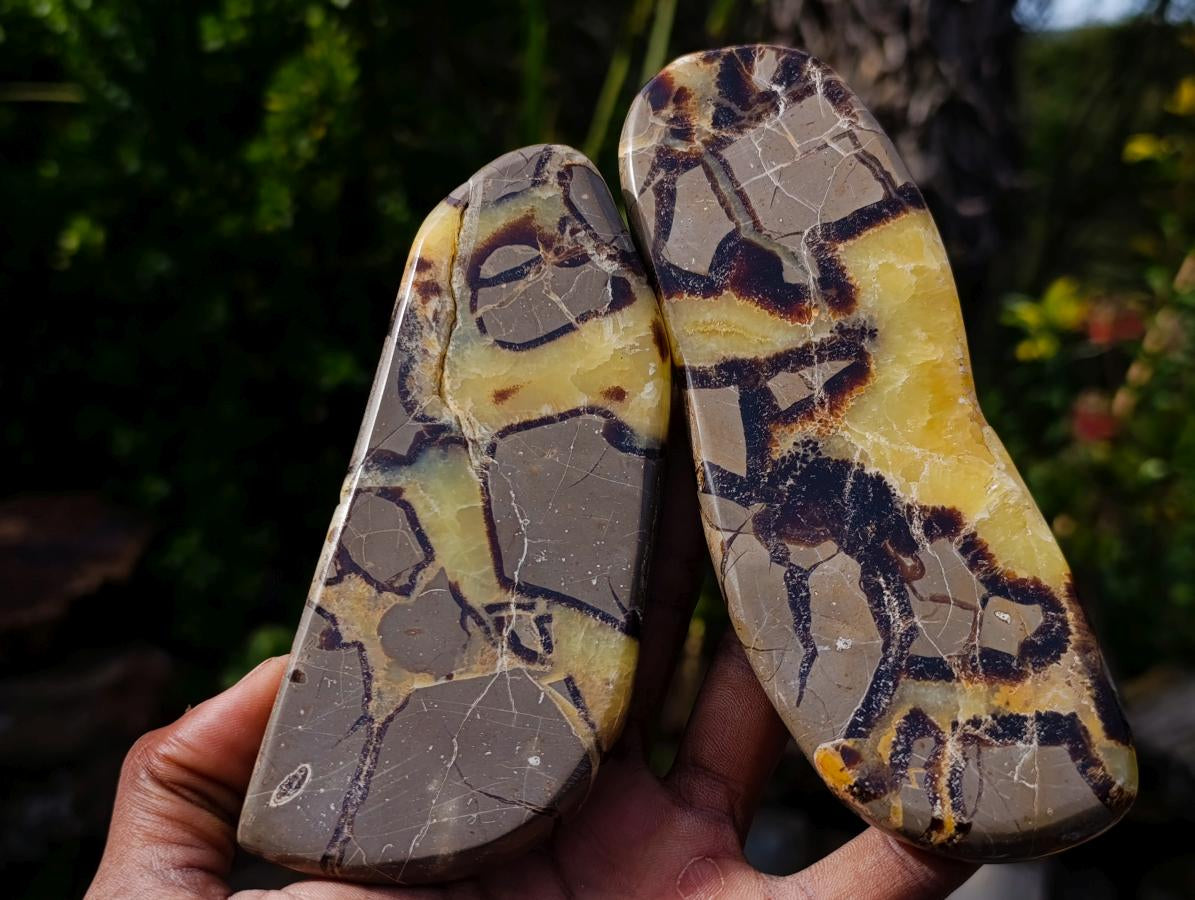 Polished Septerye Slices x 6 From Mahajanga, Madagascar - Toprock Gemstones and Minerals 