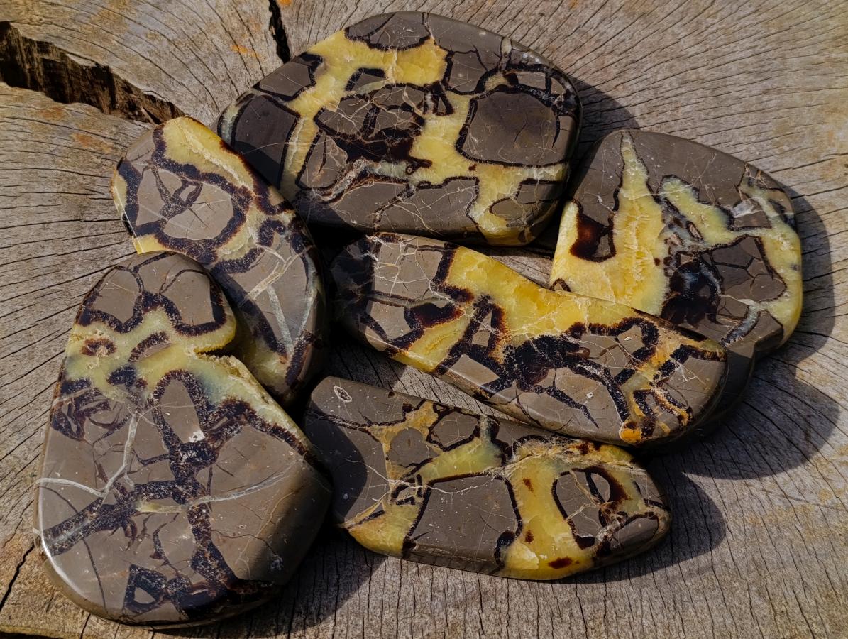 Polished Septerye Slices x 6 From Mahajanga, Madagascar - Toprock Gemstones and Minerals 