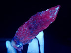 Natural Drusy Quartz Coated Spearhead Calcite Specimens x 12 From Albert's Mountain, Lesotho - Toprock Gemstones and Minerals 