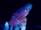 Natural Drusy Quartz Coated Spearhead Calcite Specimens x 12 From Albert's Mountain, Lesotho - Toprock Gemstones and Minerals 