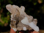 Natural Drusy Quartz Coated Spearhead Calcite Specimens x 12 From Albert's Mountain, Lesotho - Toprock Gemstones and Minerals 