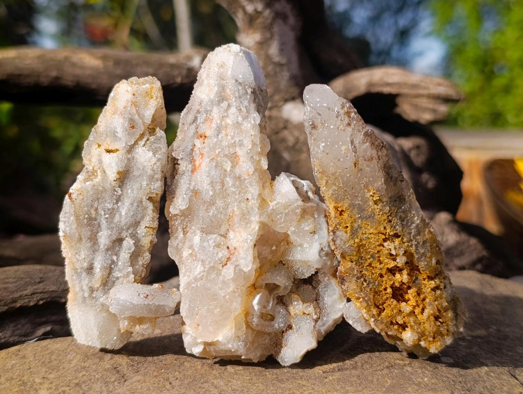Natural Drusy Quartz Coated Spearhead Calcite Specimens x 12 From Albert's Mountain, Lesotho - Toprock Gemstones and Minerals 