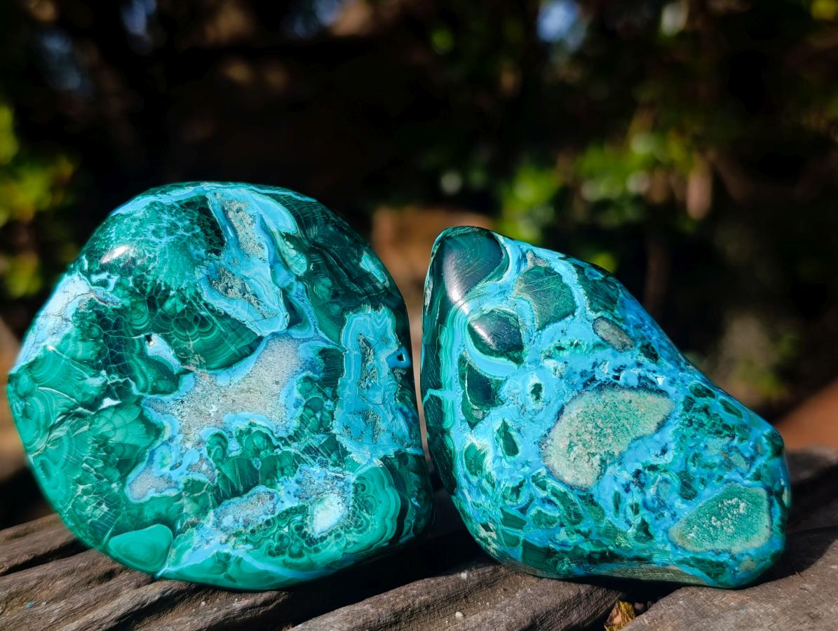 Polished Malacolla Free Forms x 12 From Kulukuluku, Congo - Toprock Gemstones and Minerals 