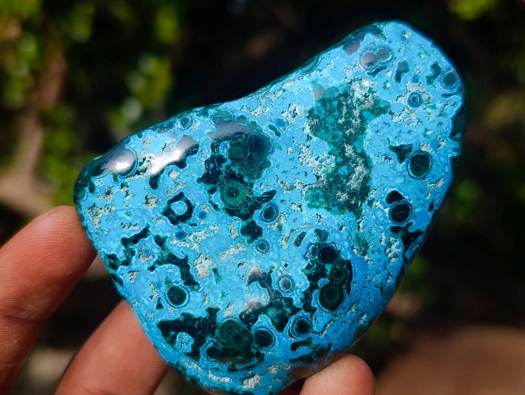 Polished Malacolla Free Forms x 12 From Kulukuluku, Congo - Toprock Gemstones and Minerals 
