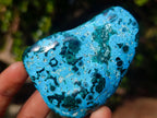 Polished Malacolla Free Forms x 12 From Kulukuluku, Congo - Toprock Gemstones and Minerals 