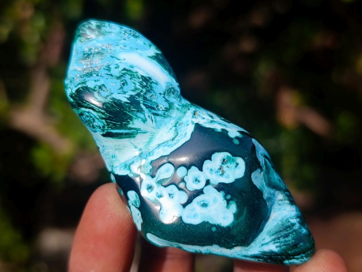 Polished Malacolla Free Forms x 12 From Kulukuluku, Congo - Toprock Gemstones and Minerals 