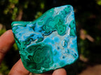 Polished Malacolla Free Forms x 12 From Kulukuluku, Congo - Toprock Gemstones and Minerals 
