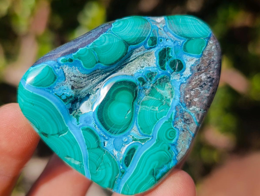 Polished Malacolla Free Forms x 12 From Kulukuluku, Congo - Toprock Gemstones and Minerals 