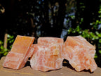 Natural Rhombohedral Sunset Orange Calcite Specimens x 24 From Spitzkop, Namibia - Toprock Gemstones and Minerals 