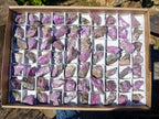 Natural Cobbed Stichtite Specimens x 70 From Barberton, South Africa