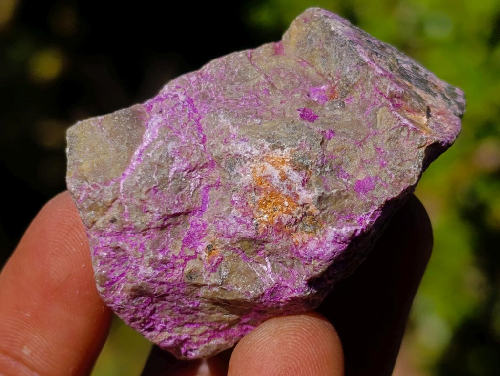 Natural Cobbed Stichtite Specimens x 70 From Barberton, South Africa