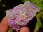 Natural Cobbed Stichtite Specimens x 70 From Barberton, South Africa
