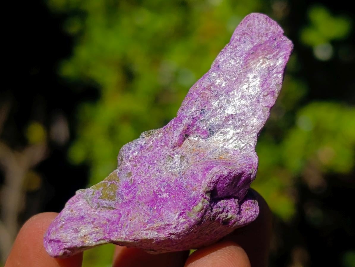 Natural Cobbed Stichtite Specimens x 70 From Barberton, South Africa