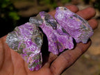 Natural Cobbed Stichtite Specimens x 70 From Barberton, South Africa
