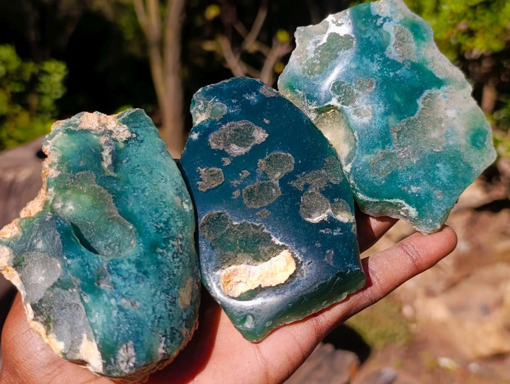 Polished On One Side Mtorolite Chrysoprase Slices x 12 From Mutorashanga, Zimbabwe - Toprock Gemstones and Minerals 