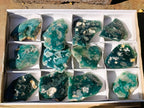 Polished On One Side Mtorolite Chrysoprase Slices x 12 From Mutorashanga, Zimbabwe - Toprock Gemstones and Minerals 