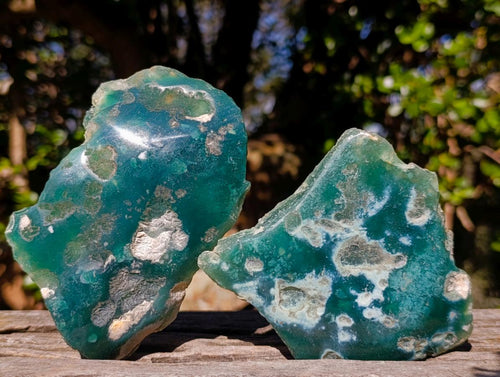 Polished On One Side Mtorolite Chrysoprase Slices x 12 From Mutorashanga, Zimbabwe - Toprock Gemstones and Minerals 