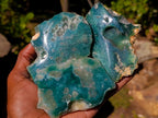 Polished On One Side Mtorolite Chrysoprase Slices x 12 From Mutorashanga, Zimbabwe - Toprock Gemstones and Minerals 