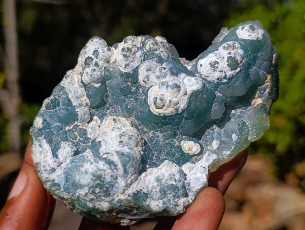 Polished On One Side Mtorolite Chrysoprase Slices x 12 From Mutorashanga, Zimbabwe - Toprock Gemstones and Minerals 