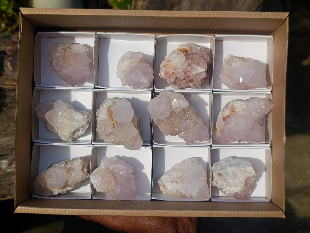 Natural Cactus Flower Spirit Quartz Clusters x 12 From South Africa - Toprock Gemstones and Minerals 