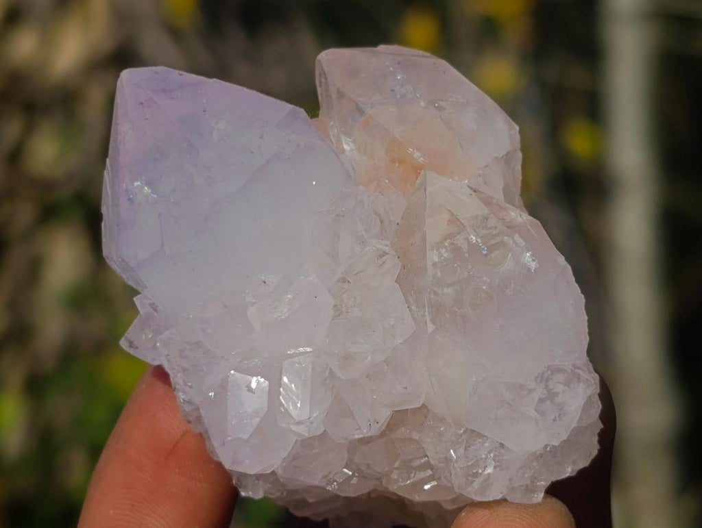 Natural Cactus Flower Spirit Quartz Clusters x 12 From South Africa - Toprock Gemstones and Minerals 