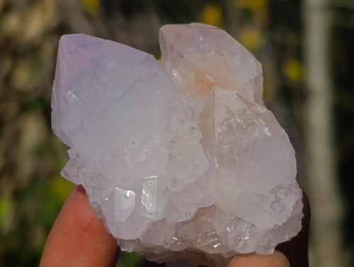 Natural Cactus Flower Spirit Quartz Clusters x 12 From South Africa - Toprock Gemstones and Minerals 