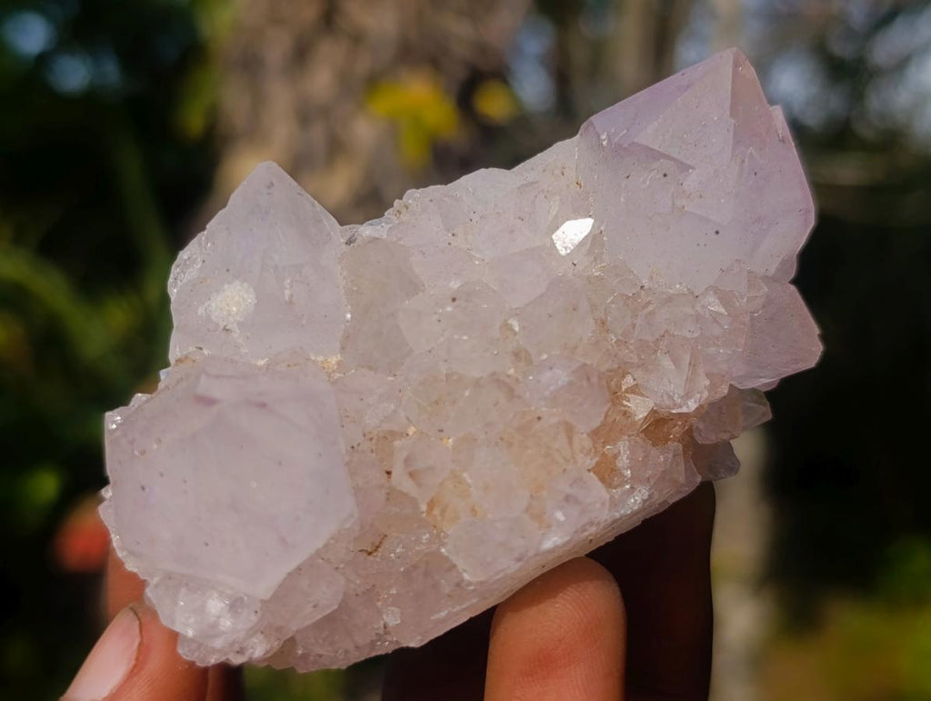 Natural Cactus Flower Spirit Quartz Clusters x 12 From South Africa - Toprock Gemstones and Minerals 