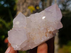 Natural Cactus Flower Spirit Quartz Clusters x 12 From South Africa - Toprock Gemstones and Minerals 