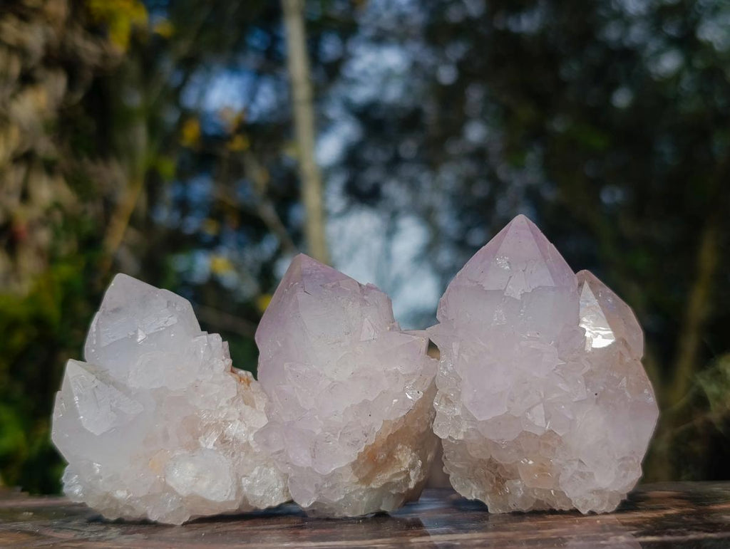 Natural Cactus Flower Spirit Quartz Clusters x 12 From South Africa - Toprock Gemstones and Minerals 