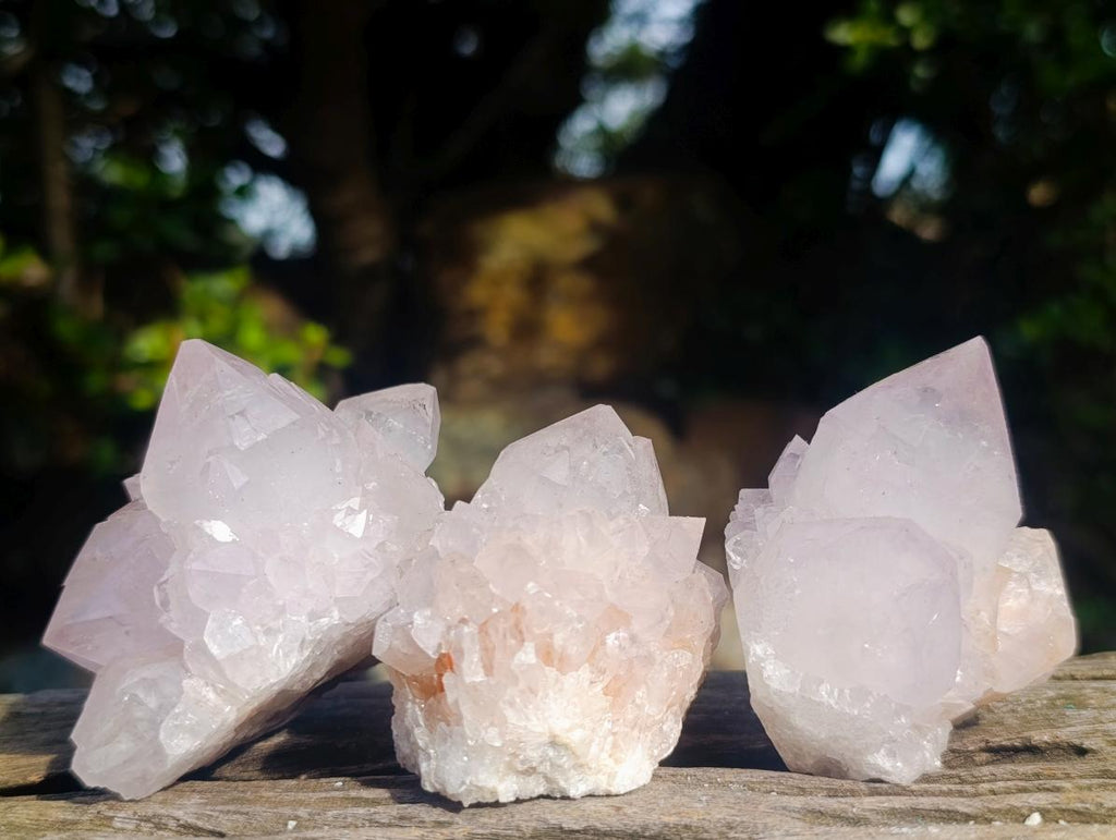 Natural Cactus Flower Spirit Quartz Clusters x 12 From South Africa - Toprock Gemstones and Minerals 