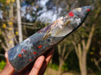 Polished Bloodstone Display Crystal Points x 3 From Swaziland - Toprock Gemstones and Minerals 