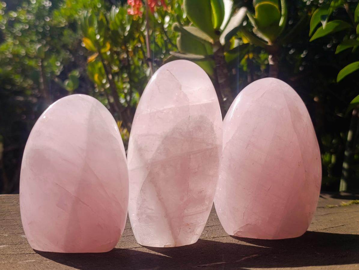 Polished Gemmy Rose Quart Standing Display Pieces x 3 From Madagascar - Toprock Gemstones and Minerals 