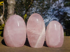 Polished Gemmy Rose Quart Standing Display Pieces x 3 From Madagascar - Toprock Gemstones and Minerals 