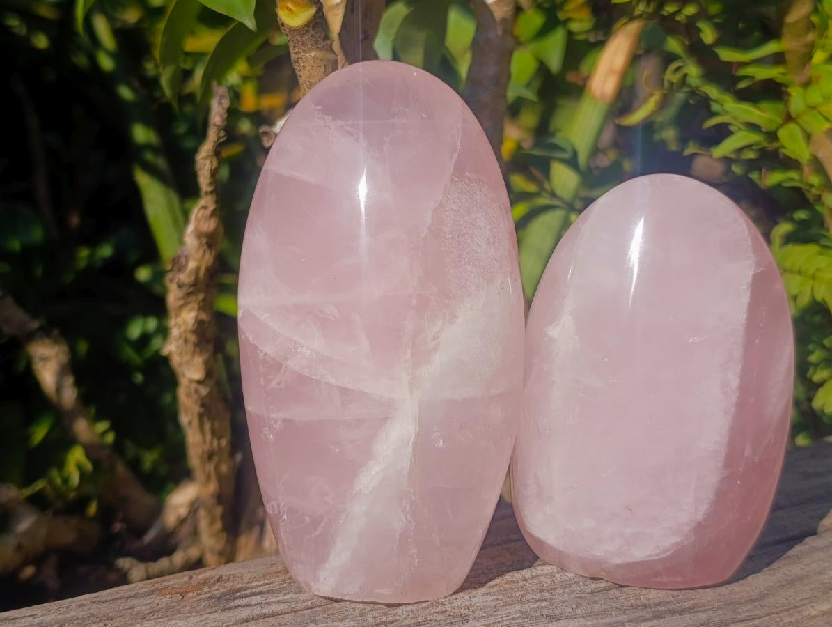 Polished Gemmy Rose Quart Standing Display Pieces x 3 From Madagascar - Toprock Gemstones and Minerals 