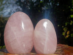 Polished Gemmy Rose Quart Standing Display Pieces x 3 From Madagascar - Toprock Gemstones and Minerals 